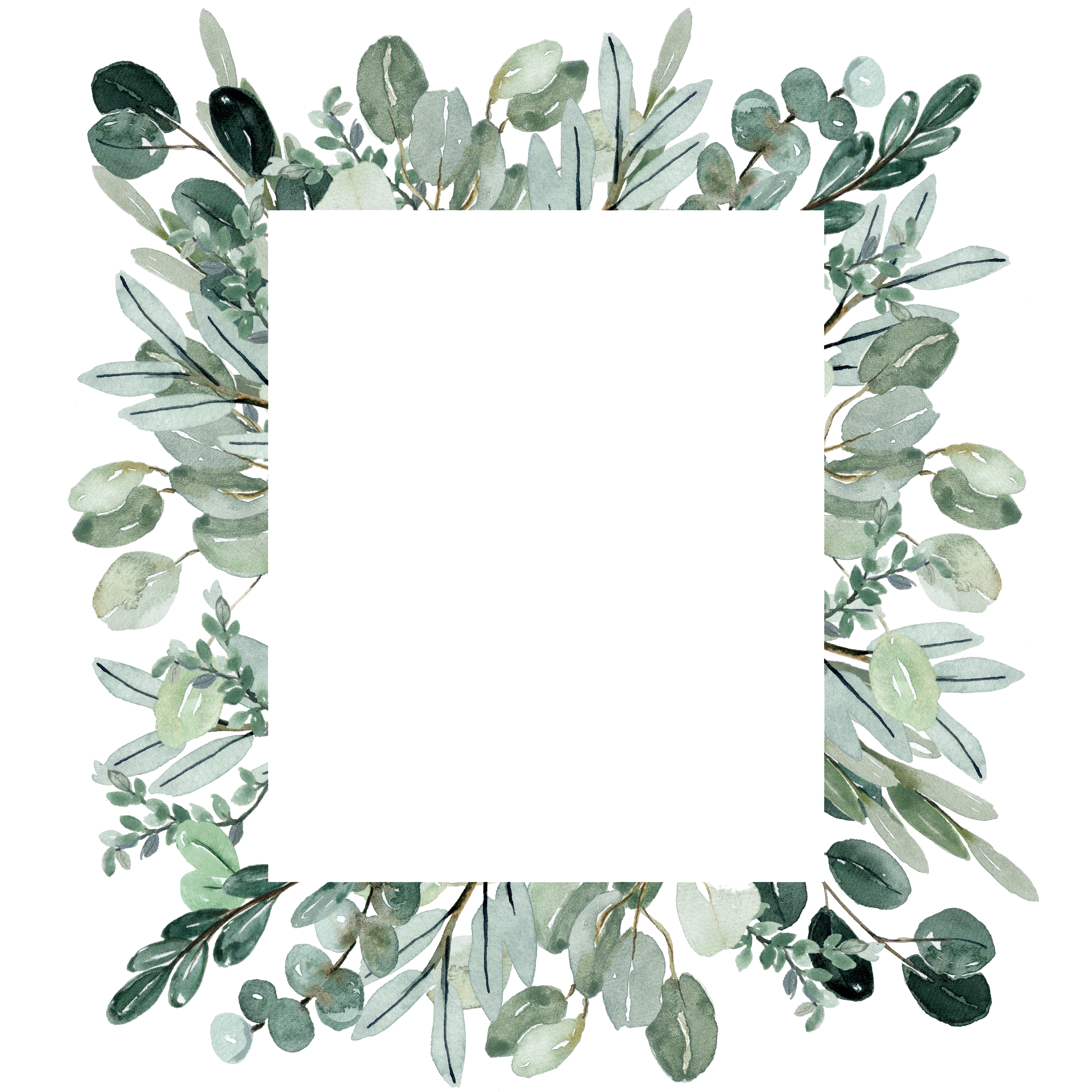 Frame 5